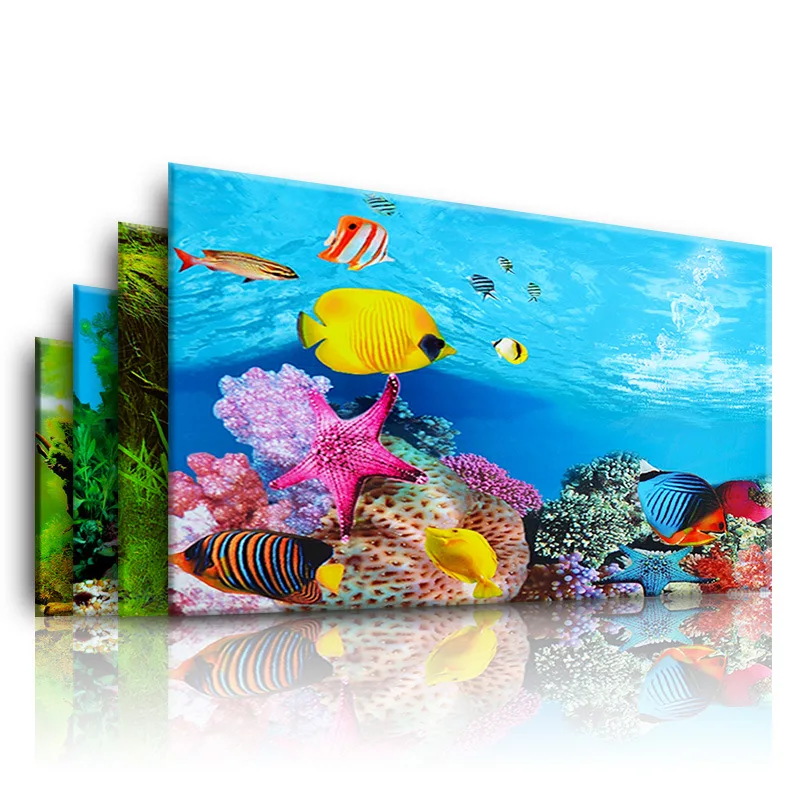 خلفية لحوض السمك ثلاثية الأبعا - مراجعة Marine Aquarium All In One وسعره