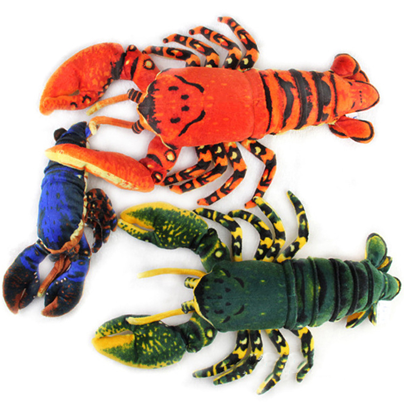 مقلد الحيوان جراد البحر Palinu - مراجعة Aquarium Marine Park وسعره