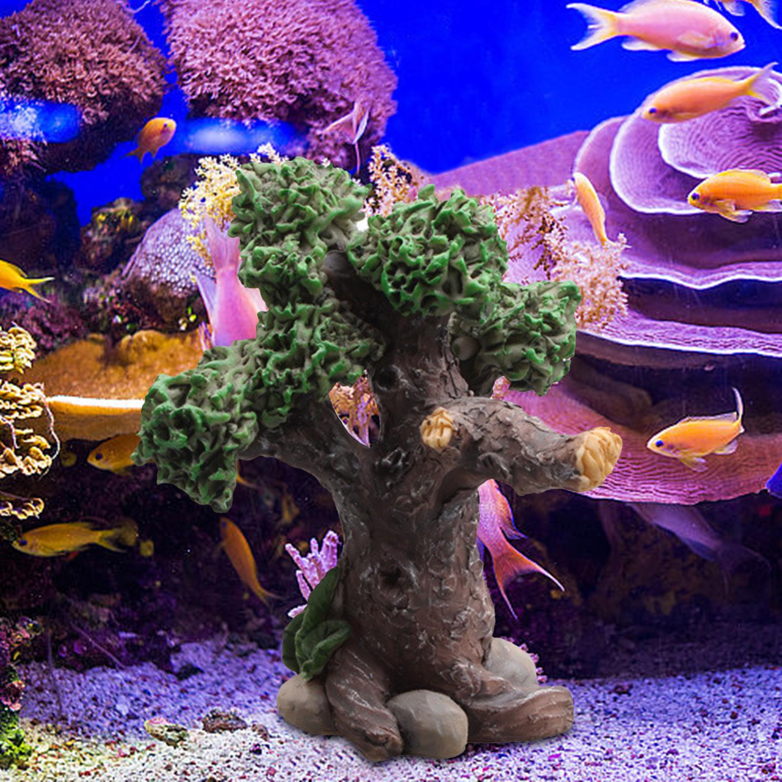 حوض السمك الجنينة مخبأ الكهوف  - مراجعة Aquarium Marina وسعره