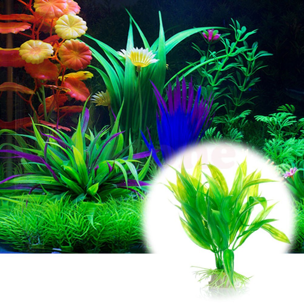 15 سنتيمتر حوض السمك الاصطناعي - مراجعة Marine Aquarium All In One وسعره