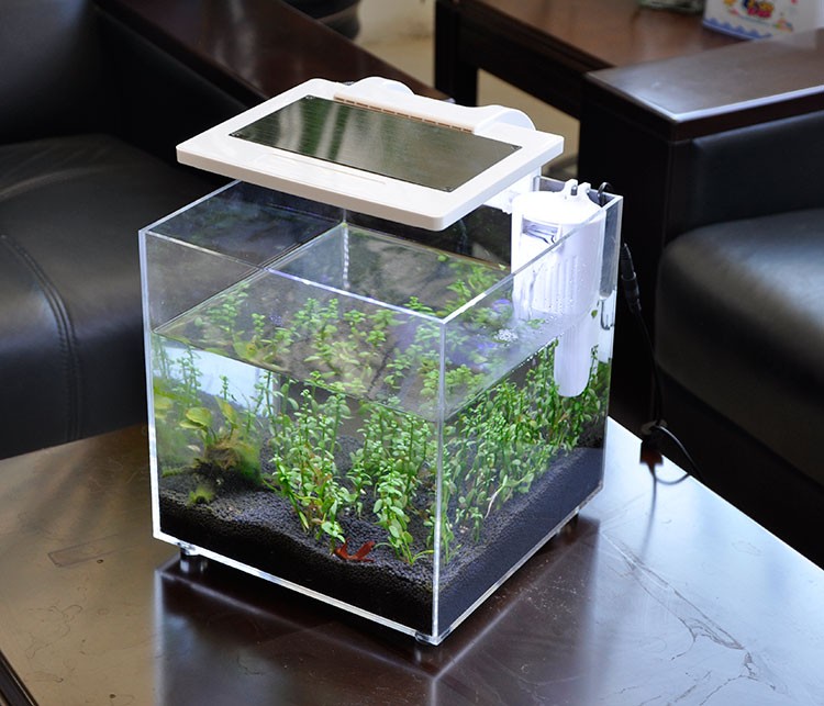 حوض سمك مارينا صغير من الأكريل - مراجعة Aquarium Marina وسعره