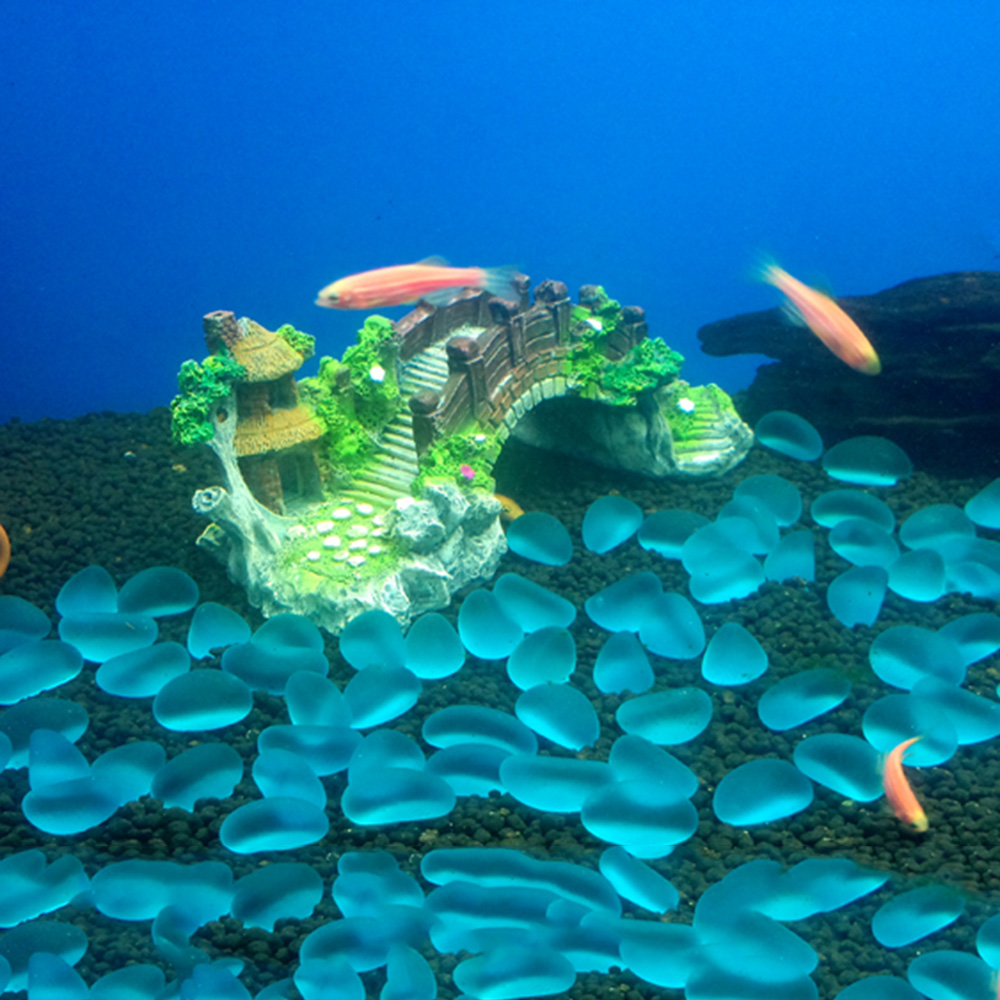 اكسسوارات حوض السمك نبات شجرة  - مراجعة Marine Aquarium All In One وسعره
