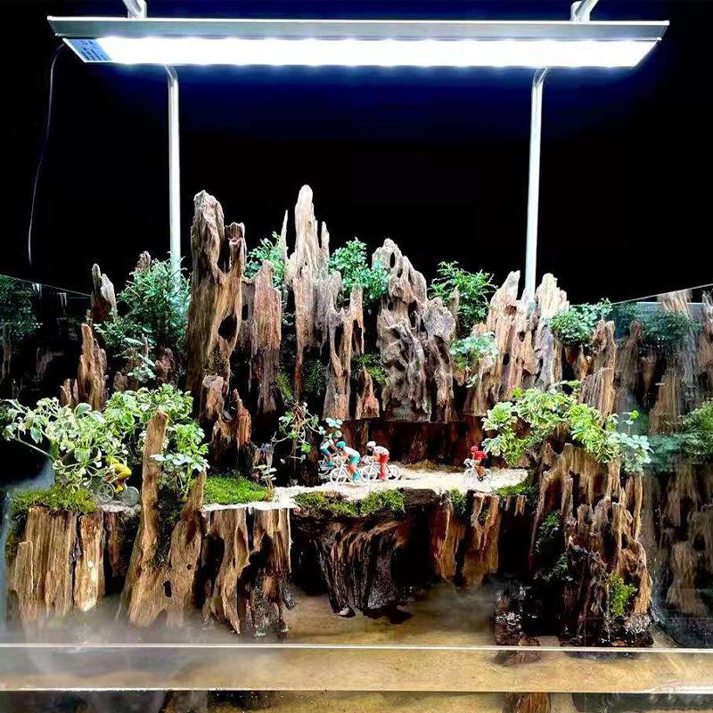 △   ديكور خشبي على شكل جمبري ل - مراجعة Marine Aquarium All In One وسعره